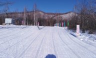 Открытые соревнования МОАУ "СОШ с. Кундур" по лыжным гонкам